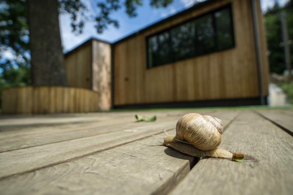 Vila Vivenot Mala Moravka Luaran gambar